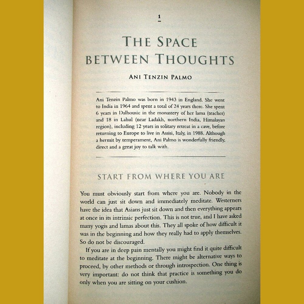 Book: Walking on Lotus Flowers, by Martine Batcheleor - Picture 7 of 14